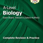 bio examples