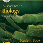 bio examples