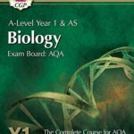 bio examples