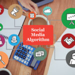 Understanding Social Media Algorithms [2024 Complete Guide]