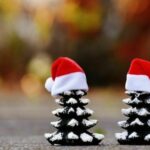 12 Holiday Emails for Customers (Templates & Examples!)
