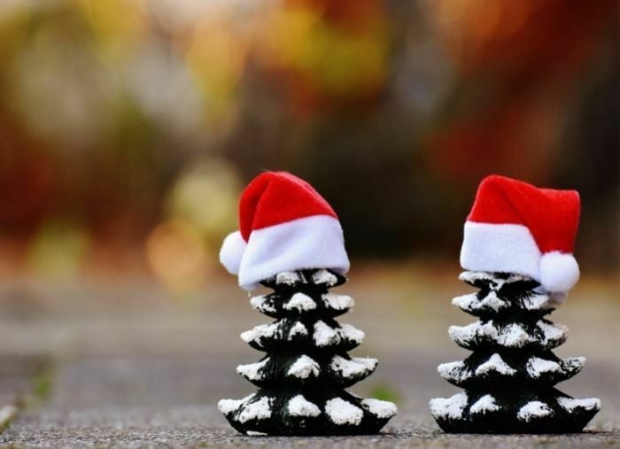 12 Holiday Emails for Customers (Templates & Examples!)