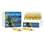 professional bio examples