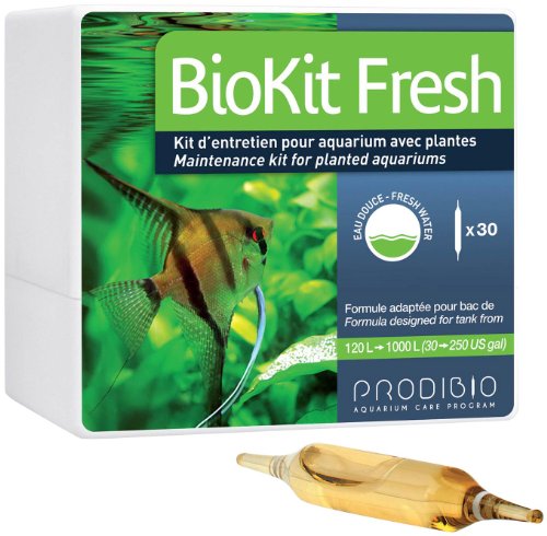 bio examples
