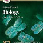 bio examples