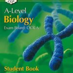 bio examples