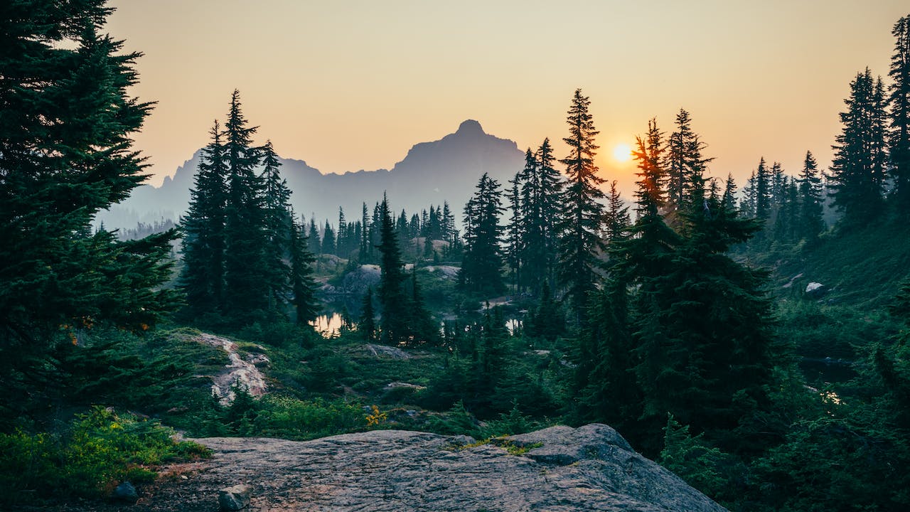 What is Evergreen Content? How to Use It + Examples that Work