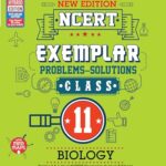 best bio examples