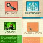 bio examples