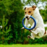 11 Tricks to Get the Click: How to Write Exceptional PPC Ads