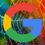 Google Cobweb