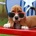 64 Sparkling July Content Ideas for a Booming Month