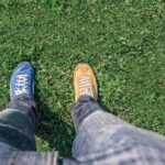Pros, Cons, + Which is Best