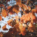58 Free & Creative September Marketing Ideas for Any Business